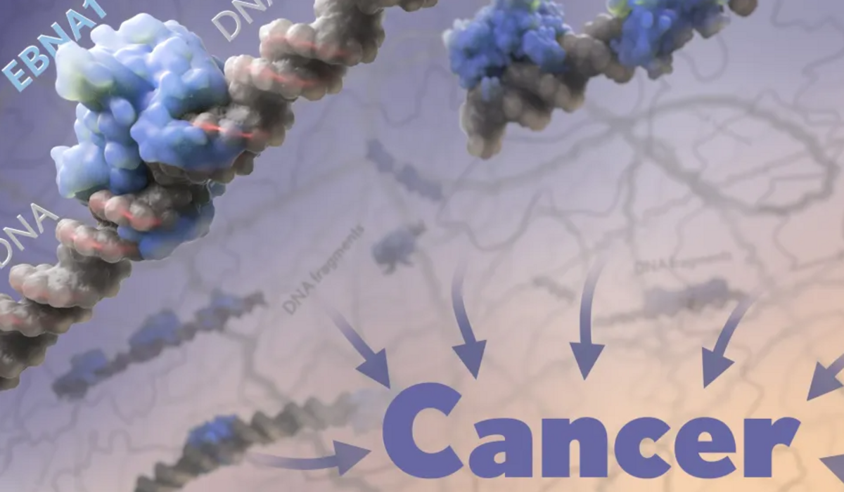 Cancer के आगमन से पहले शरीर में उपस्थित होते हैं ये पांच लक्षण, लापरवाही मौत तक है ले जा सकती