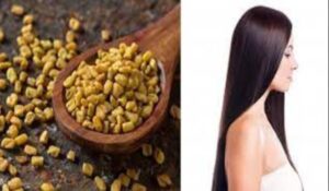 Hair Care Tips: सिर्फ 1 चम्मच मेथी से पाय सफ़ेद बालो से छुटकारा , तेल में मिलाकर ऐसे करें इस्तेमाल