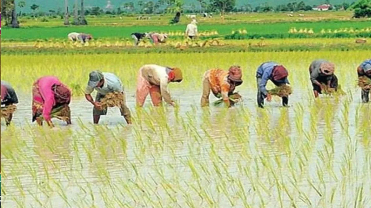 हिमाचल सरकार ने प्राकृतिक खेती के माध्यम से राज्य में ग्रामीण अर्थव्यवस्था को किया मजबूत