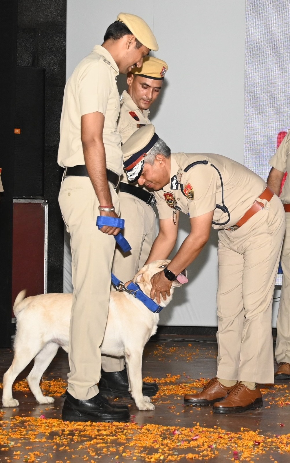 हरियाणा पुलिस में डॉग स्क्वायड में शामिल किए गए 27 प्रशिक्षित डॉग